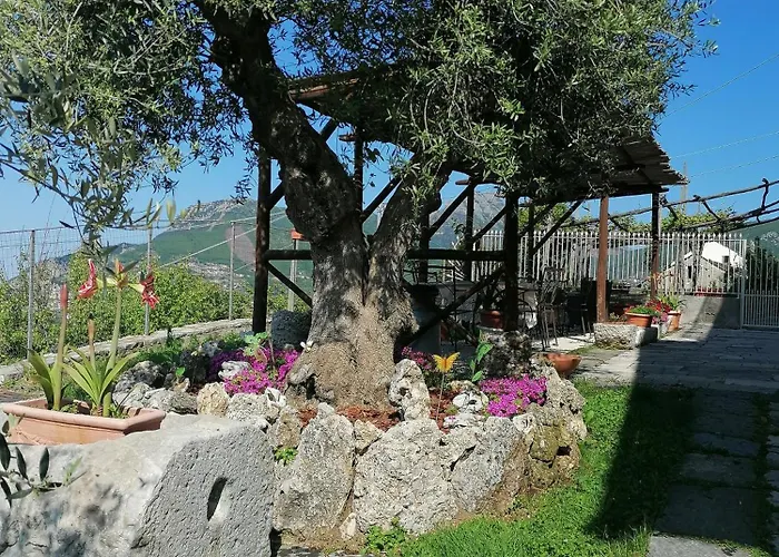 Bed and Breakfast Il Casale del Generale Agerola